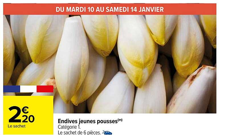 endives jeunes pousses