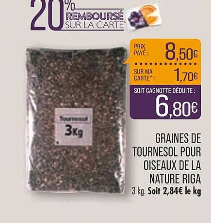 Graines De Tournesol Pour Oiseaux De La Nature Riga