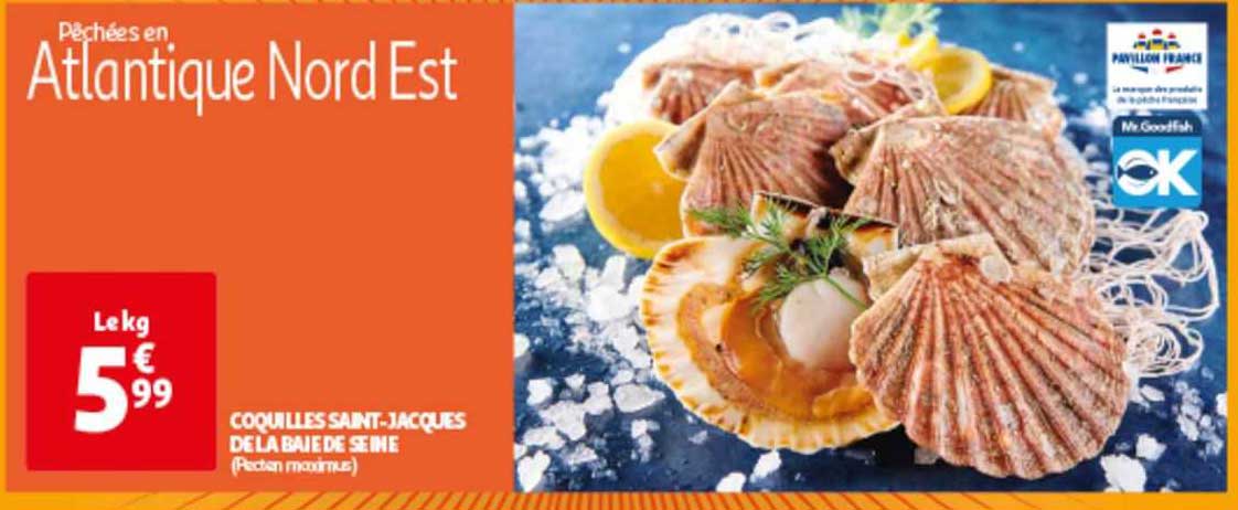 coquilles saint-jacques de lsa baie de seine