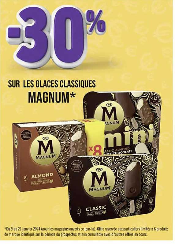 Les Glaces Classiques Magnum