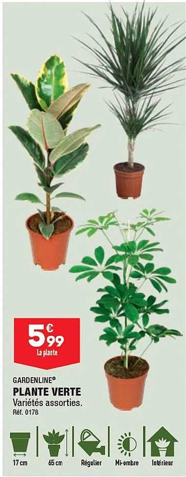 Plante Verte Gardenline