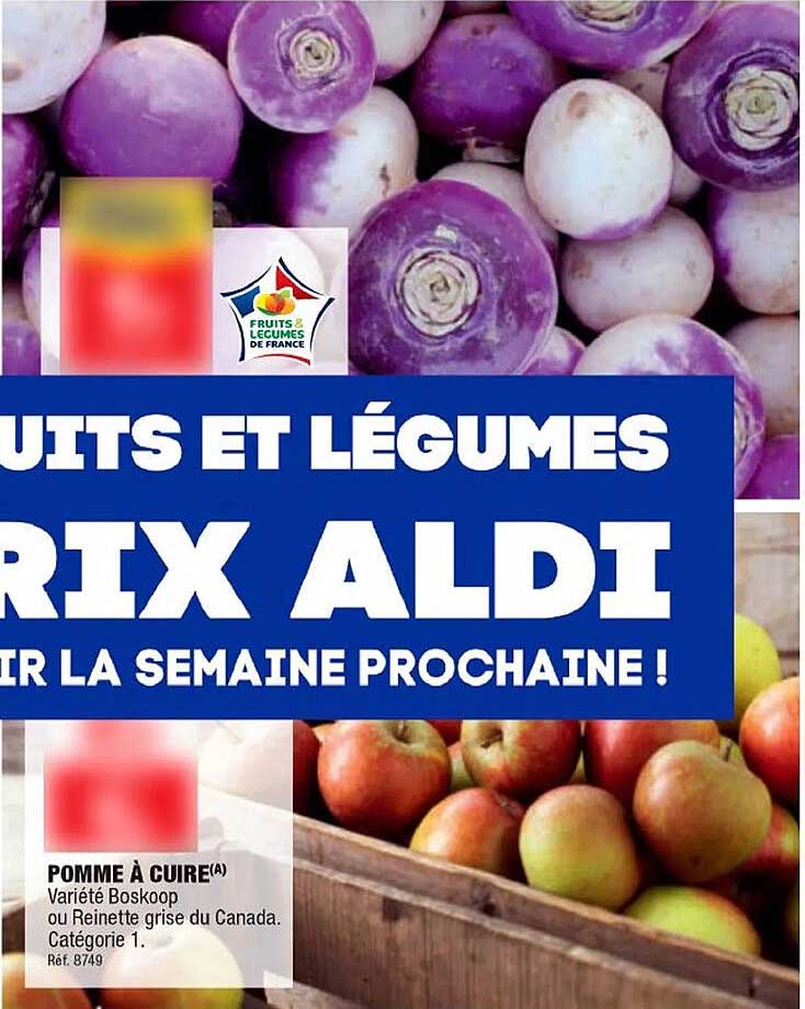 pomme à cuire boskoop ou reinette grise du canada