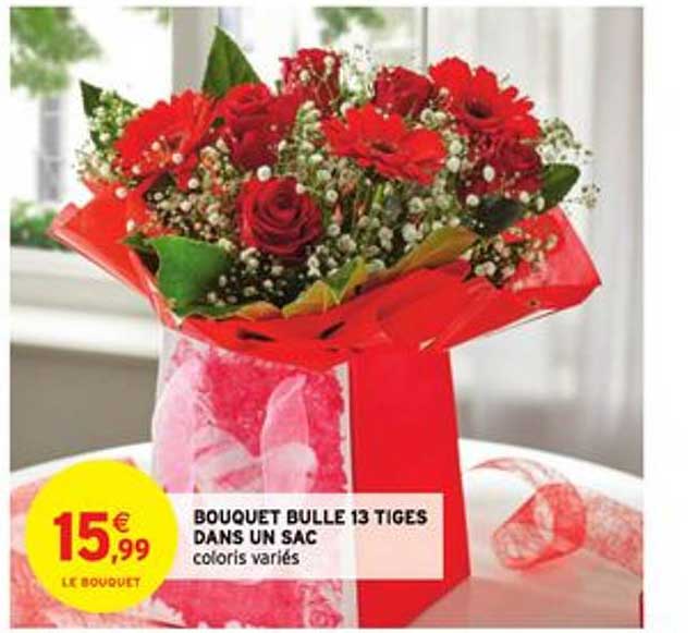 bouquet bulle 13 tiges dans un sac