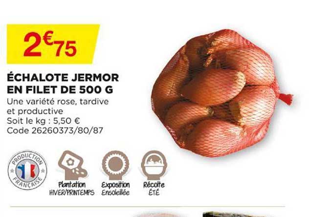 échalote jermor en filet de 500 g