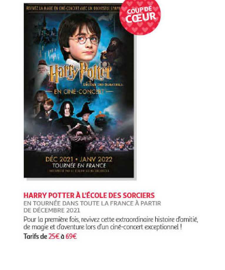 harry potter à l'école des sorciers