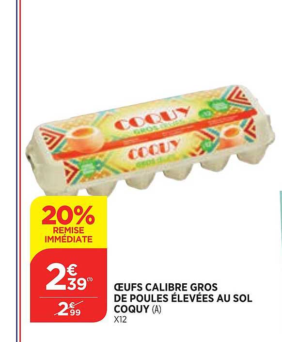 Oeufs Calibre Gros De Poules élevées Au Sol Coquy