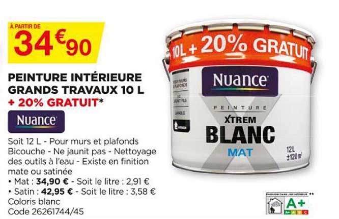 peinture intérieure grands travaux nuance 10l + 20% gratuit