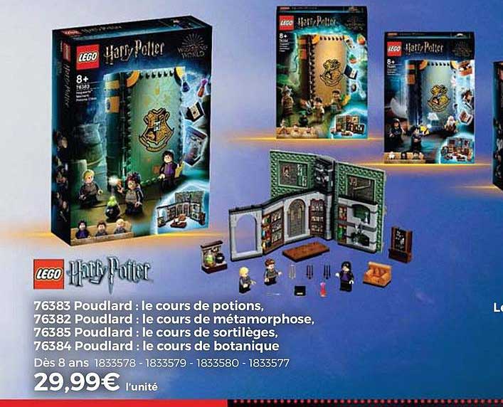 poudlard : le cours de potions, le cours de métamorphose, le cours de sortilèges, le cours de botanique harry potter