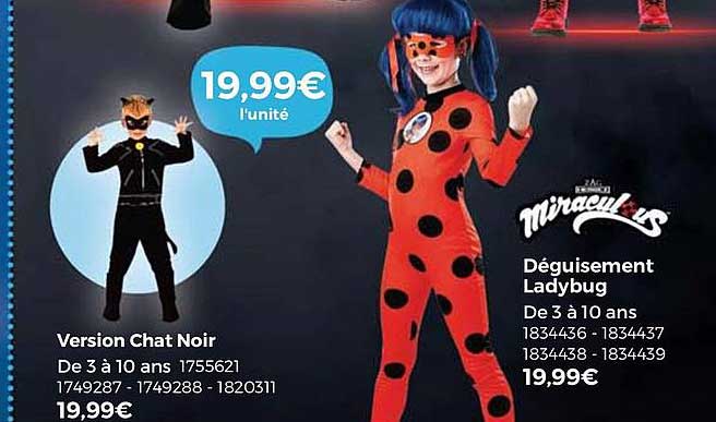 version chat noir, déguisement ladybug miraculous