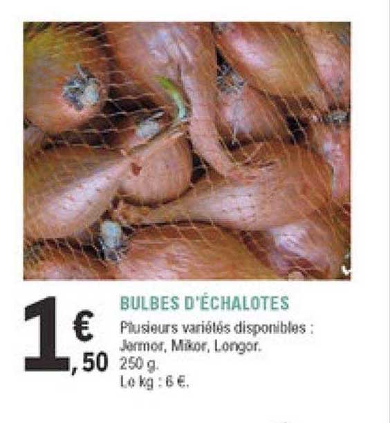 bulbes d'échalotes