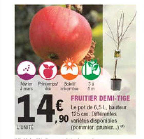 fruitier demi-tige