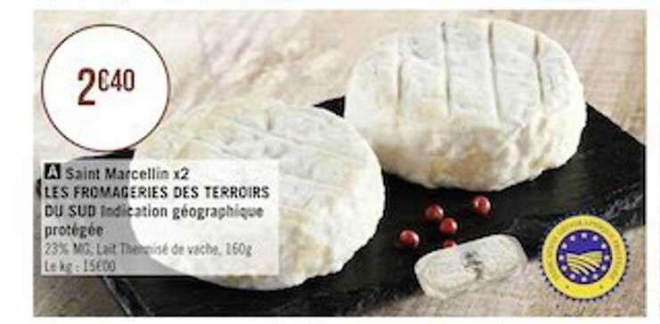saint marcellin x2 les fromageries des terroirs du sud indication géographique protégée