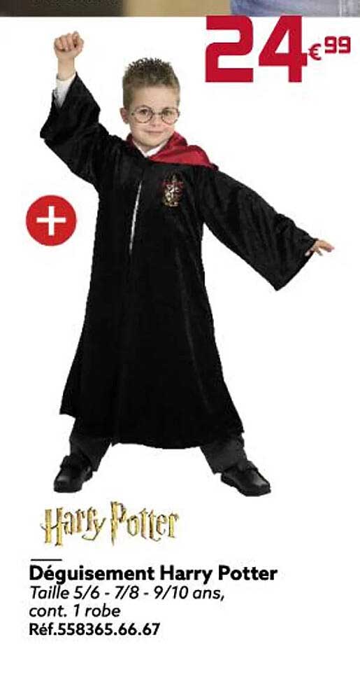 déguisement harry potter