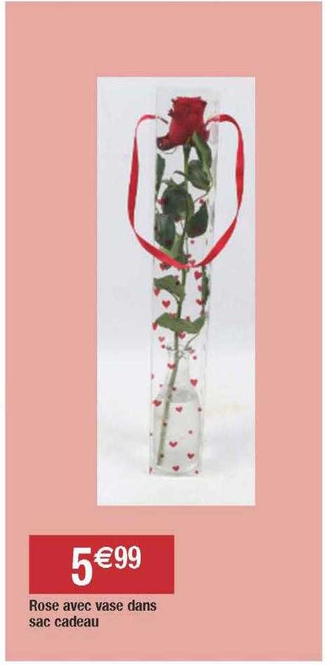 rose avec vase dans sac cadeau