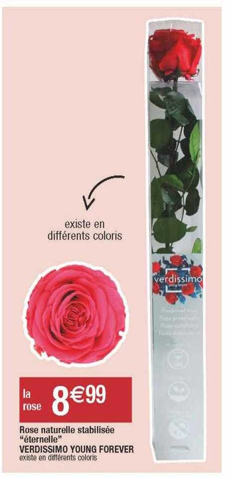 rose naturelle stabilisée "éternelle" verdissimo young forever