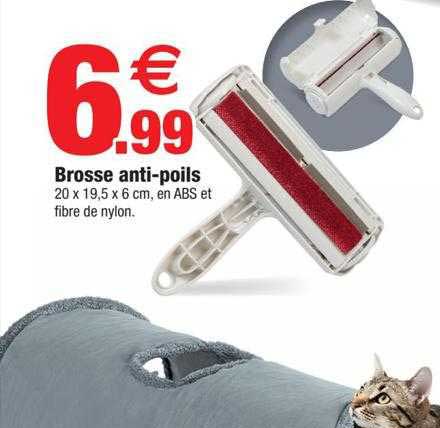 brosse anti-poils