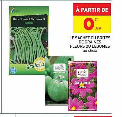 Le Sachet Ou Boîtes De Graines Fleurs Ou Légumes