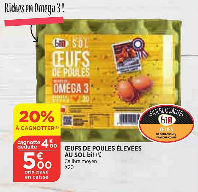 œufs de poules élevées au sol bi1
