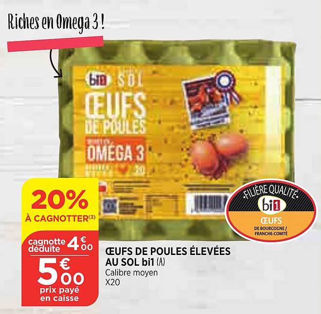 œufs de poules élevées au sol bi1