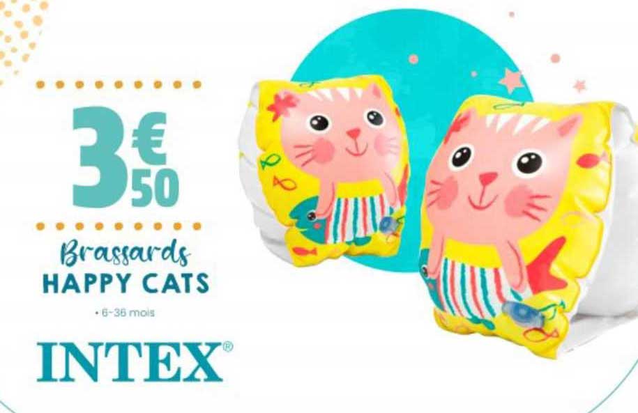 Brassards Happy Cats Intex
