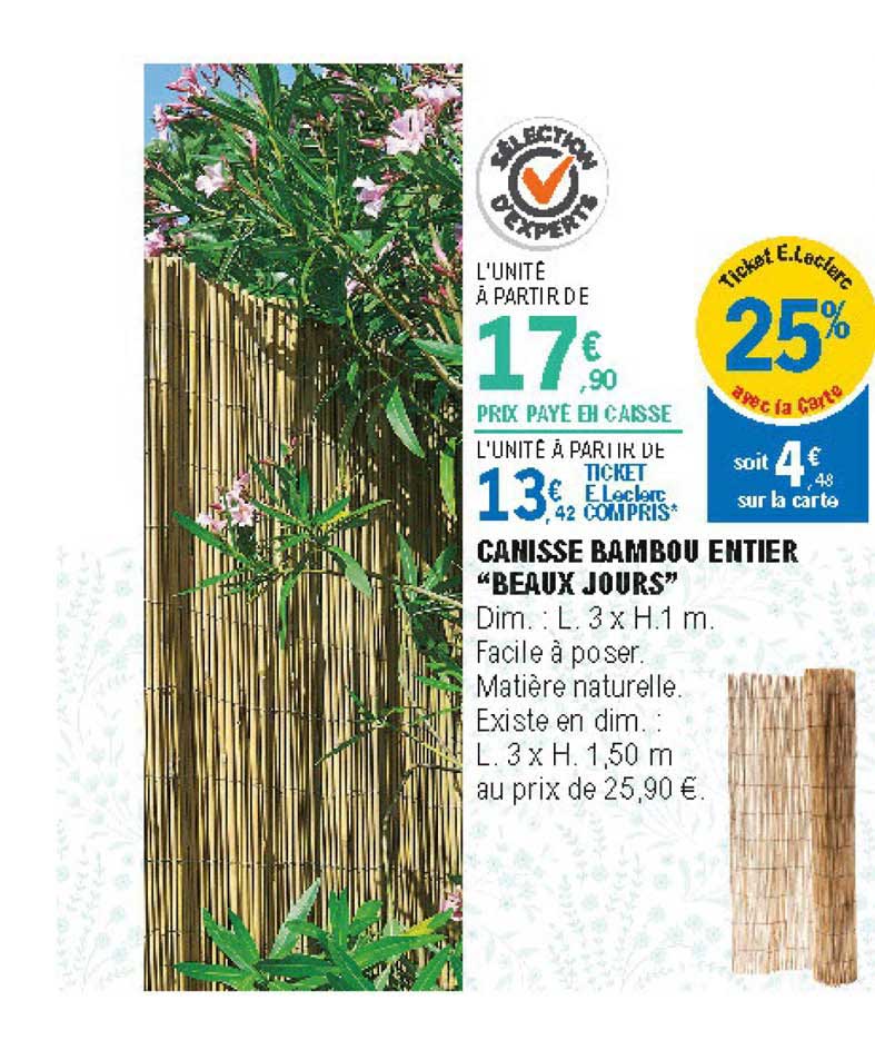 canisse bambou entier beaux jours