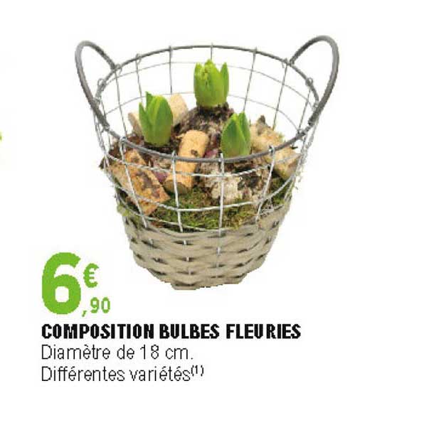 composition bulbes fleuries