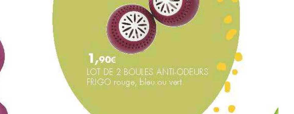 lot de 2 boules anti odeurs frigo rouge bleu ou vert