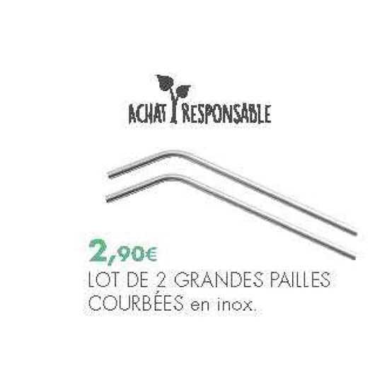 lot de 2 grandes pailles courbées en inox