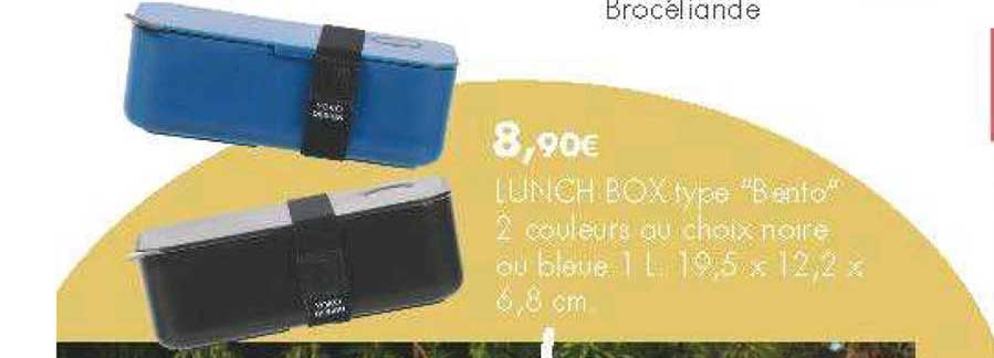 lunch box type bento
