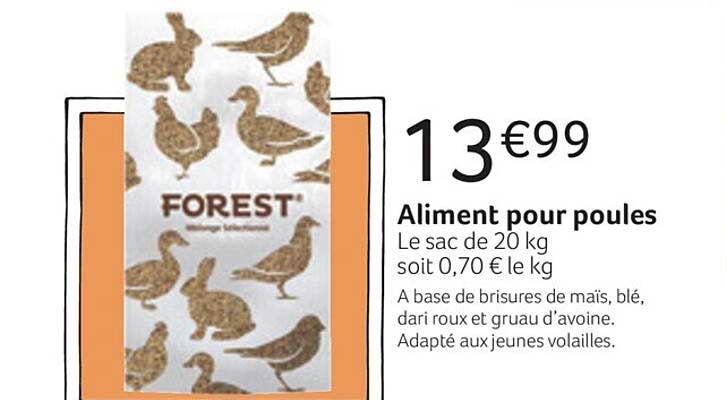 aliment pour poules