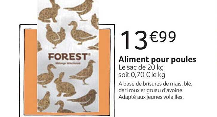aliment pour poules