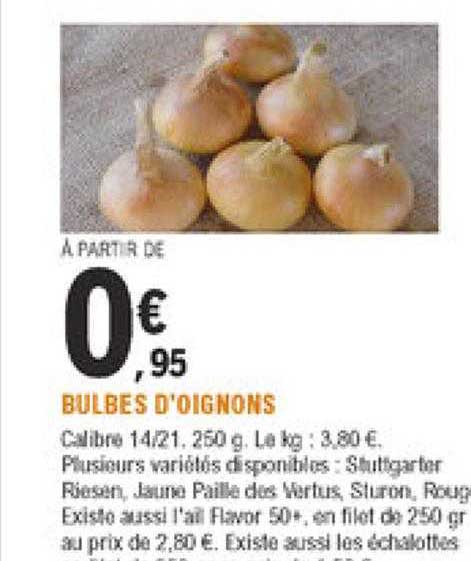 bulbes d'oignons