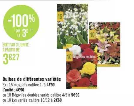 bulbes de différentes variétés