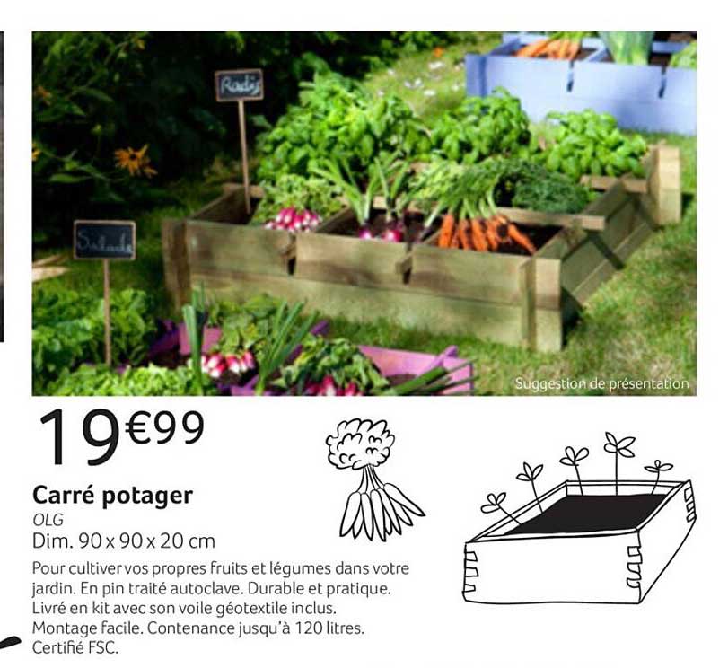 Carré Potager Olg