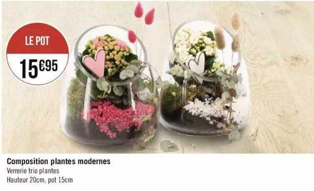 composition plantes modernes