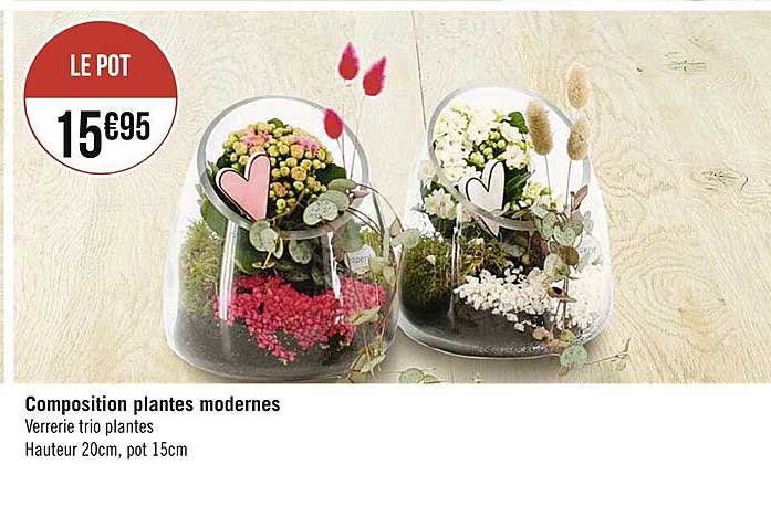 composition plantes modernes