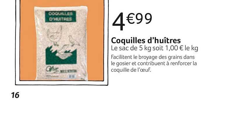Coquilles D'huîtres