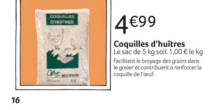 Coquilles D'huîtres
