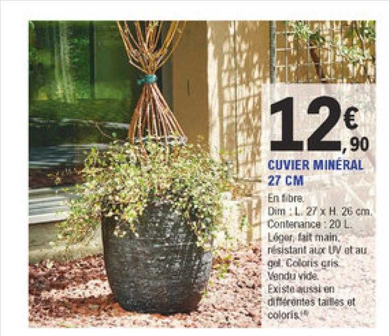 cuvier minéral 27 cm