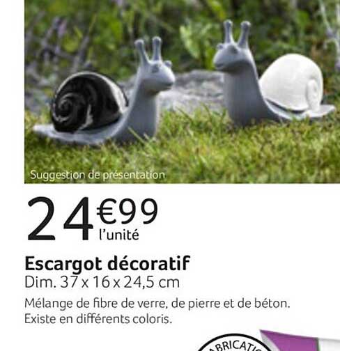 Escargot Décoratif
