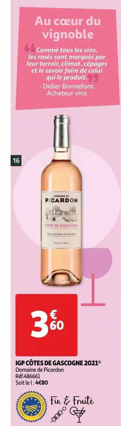 igp côtes de gascogne 2021 domaine de picardon