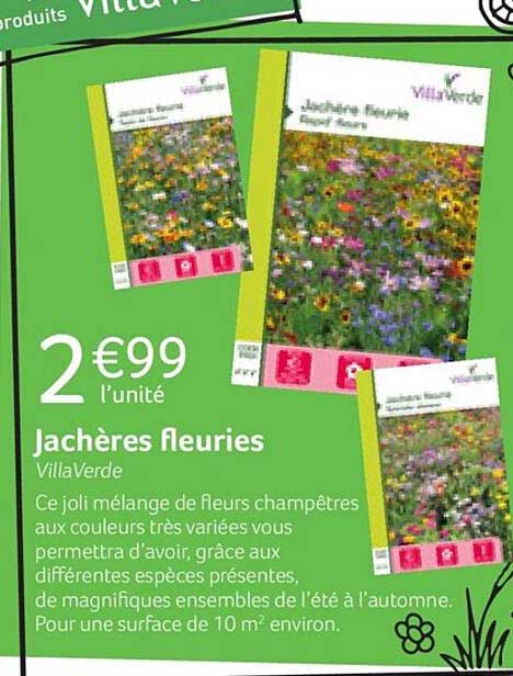 jachères fleuries villaVerde