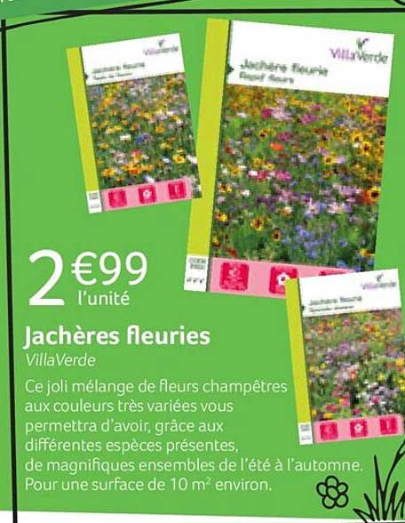 jachères fleuries villaVerde