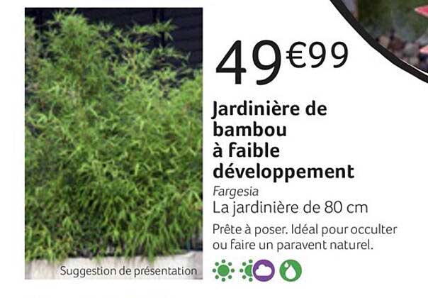 jardinière de bambou à faible développement
