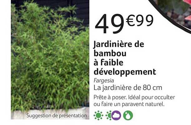 jardinière de bambou à faible développement