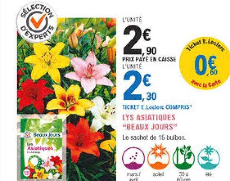 lys asiatiques "beaux jours"