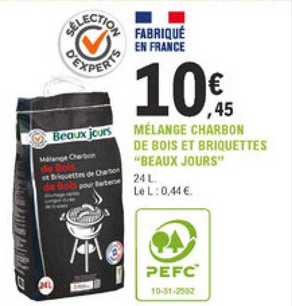 mélange charbon de bois et briquettes "beaux jours"