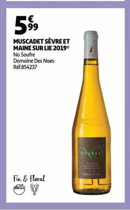 muscadet sèvre et maine sur lie 2019 no soufre domaine des noes