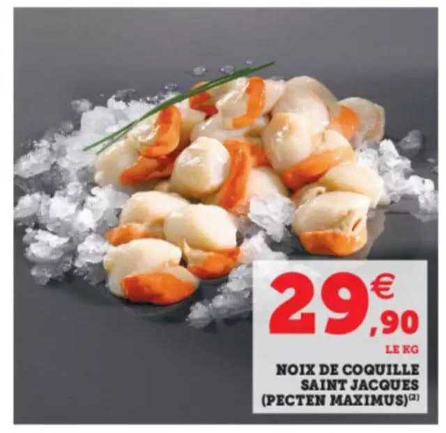 noix de coquilles saint jacques (pecten maximus)