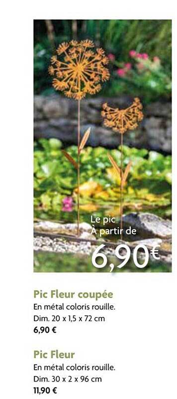 pic fleur coupée, pic fleur